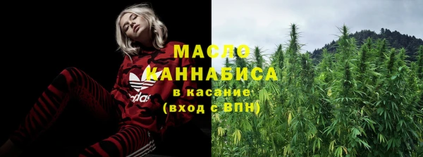 хмурый Алзамай